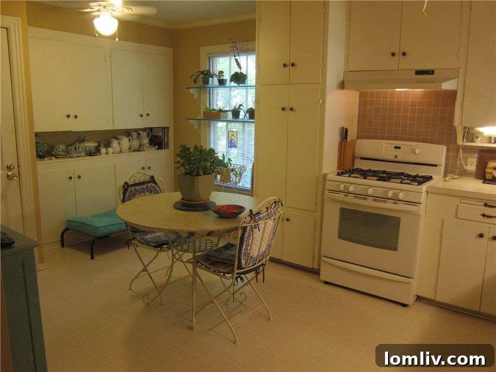 La Vista Drive Kitchen 2