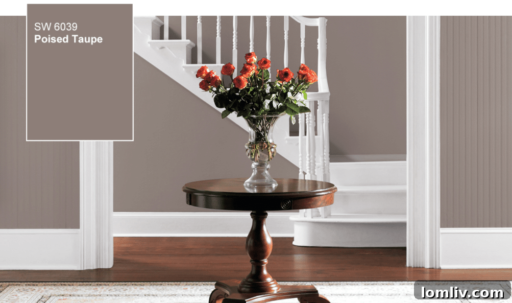 Sherwin-Williams Poised Taupe - Toprak tonlarında gri-kahve renk örneği