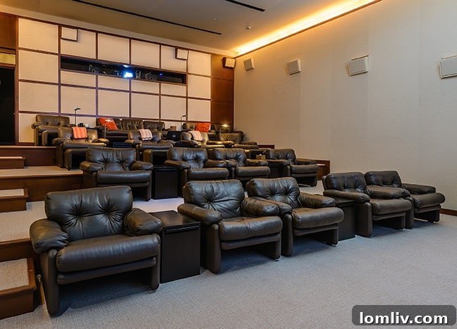 Hicks-media-theater-10000HollowWay250L - State-of-the-art private media theater
