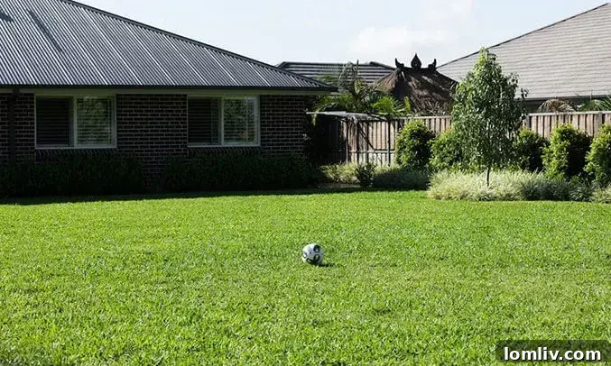 A pristine Sir Walter Buffalo lawn under dappled sunlight, highlighting its rich, deep green colour and fine texture.