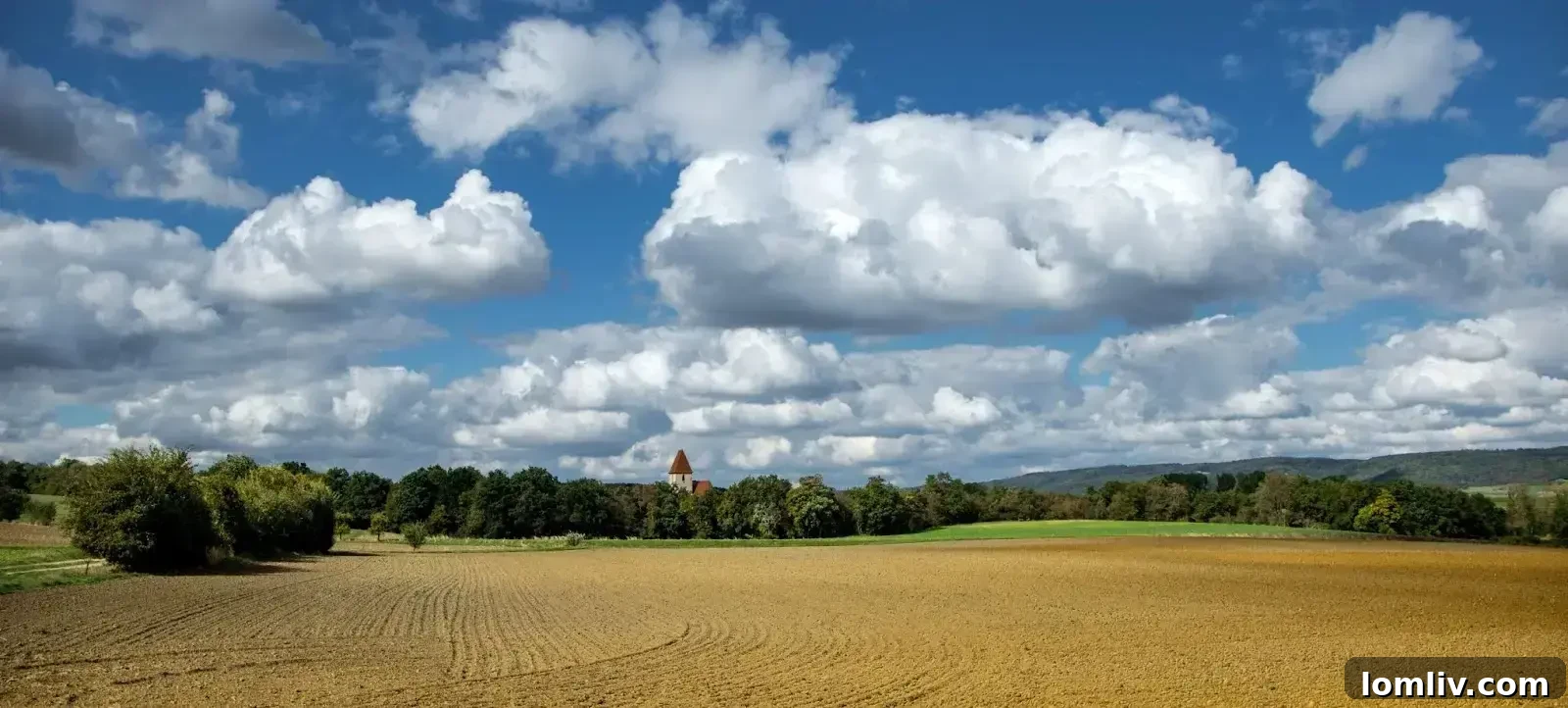 Aerial view of a vast farmland under a cloudy sky, illustrating the natural aspect of land.