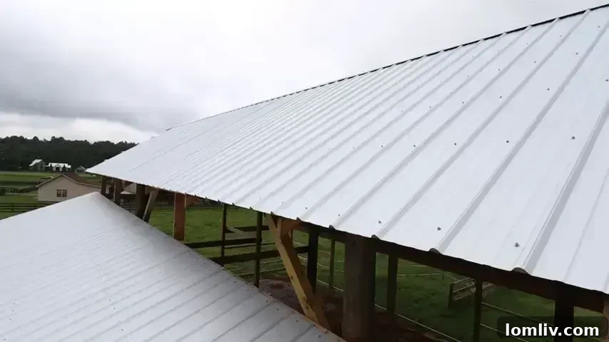 A barn roof under construction, showing different roofing layers and structural elements.