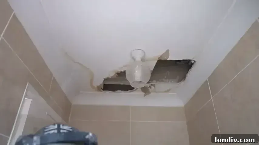 Finding Your Dallas Home: Why Water Damage and Mosquito Control Are Crucial 2 Hidden water damage behind a wall causing mold growth and structural issues in a Dallas home