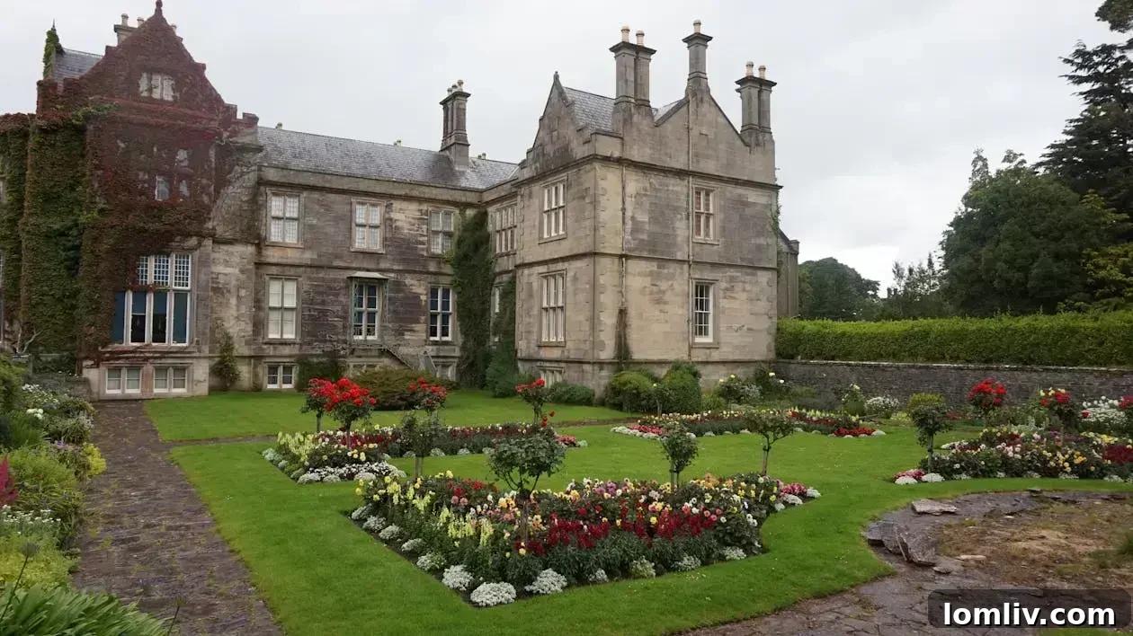 Pest-Proofing Your Vintage Home Purchase 2 A charming older house with a well-maintained garden, representing the allure and potential challenges of historic homes.