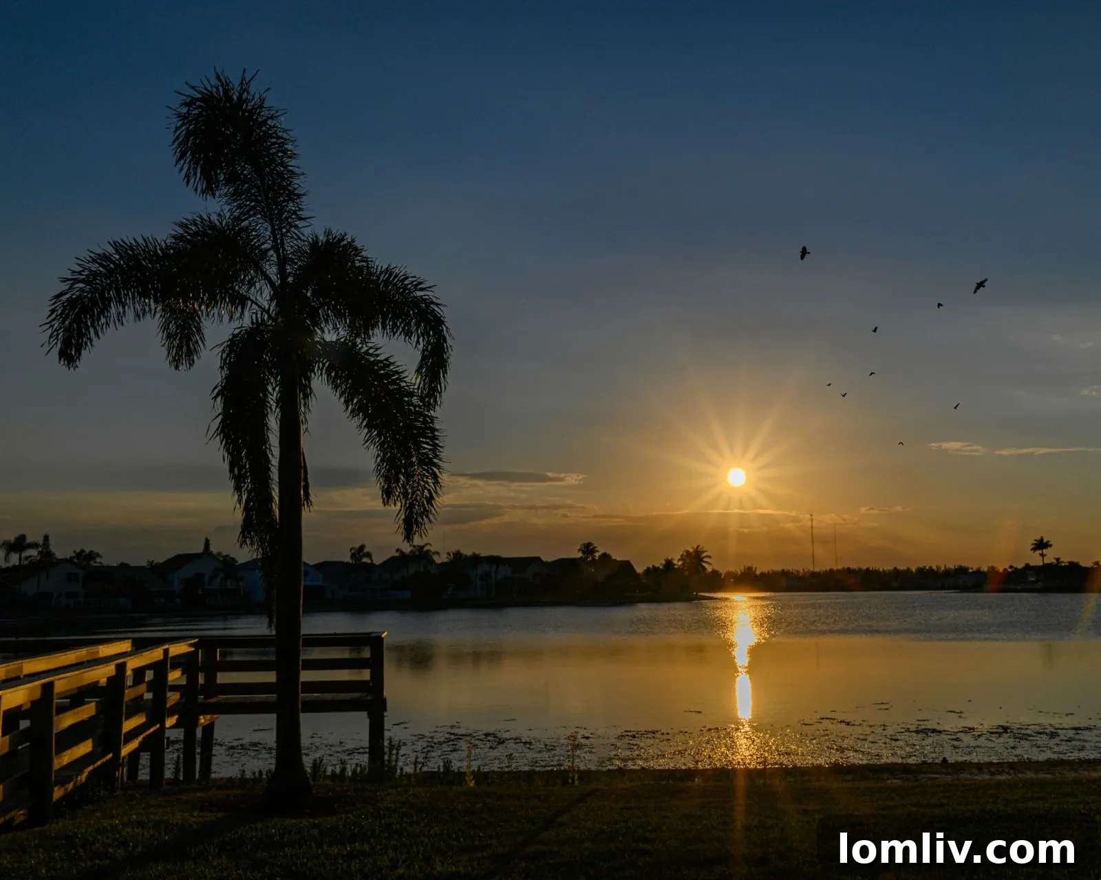 A vibrant aerial view of Lake Worth, Florida, showcasing its coastal charm and investment potential.