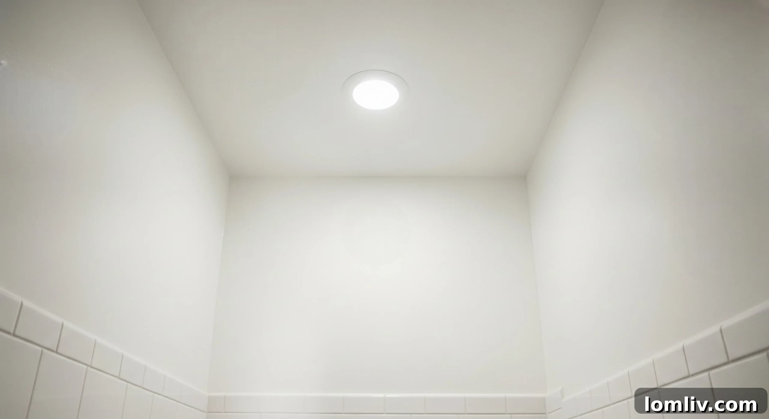 Bathroom ceiling with mold-resistant paint and proper ventilation