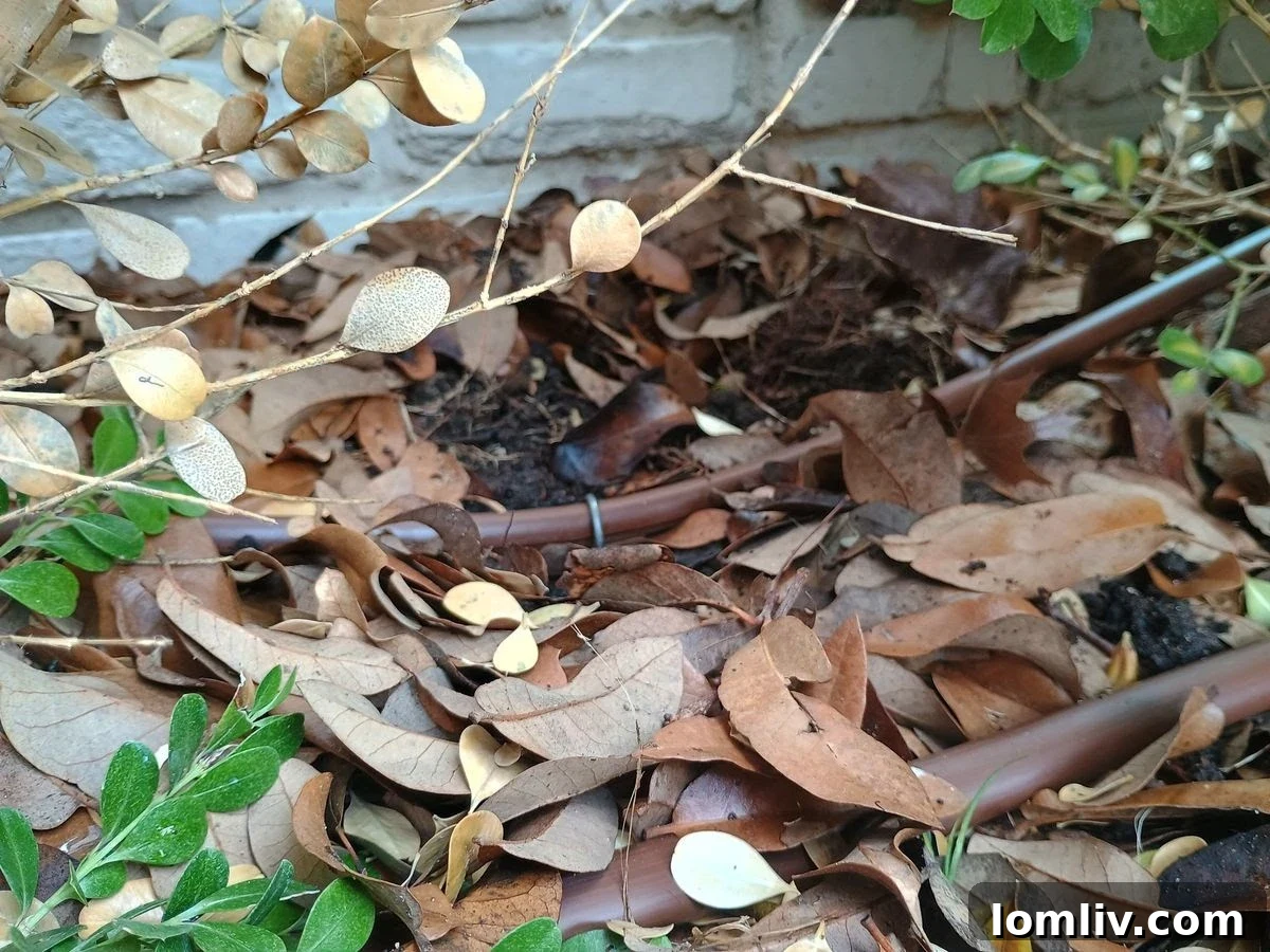 Foundation drip line installation